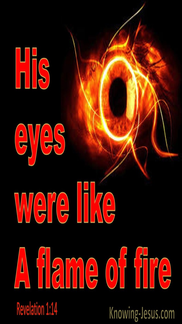 Revelation 1:14 His Eyes Were Like A Flame Of Fire (red)